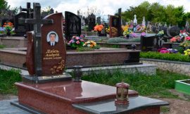 Наши работы